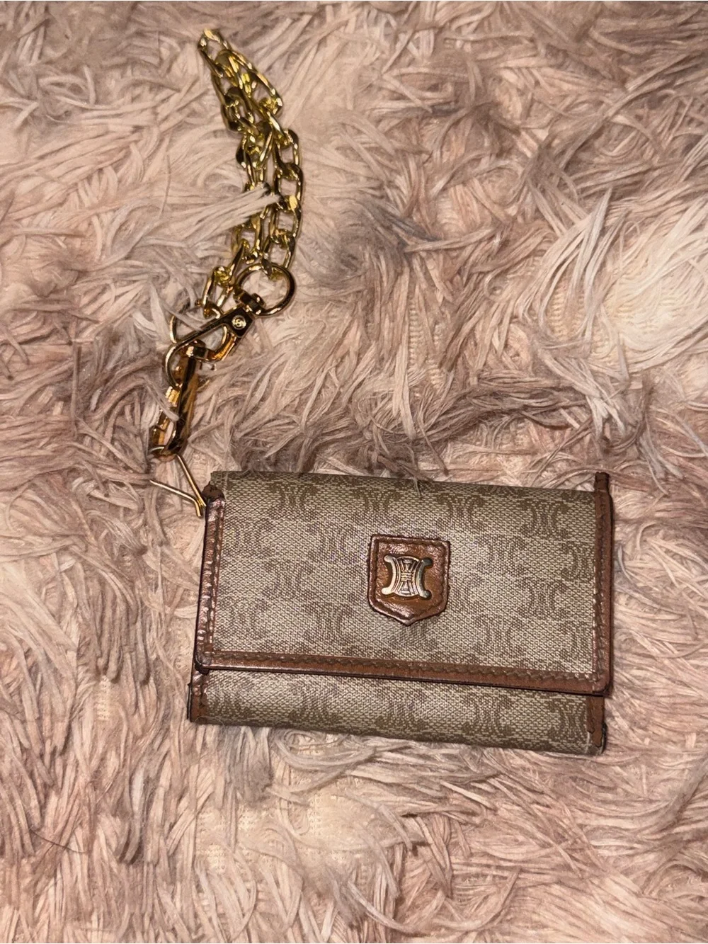 PROJECT Vintage Celine Macadam Triomphe Key Holder Case M12 + Chain